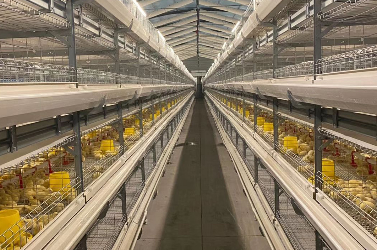 Plastic Feeder Reduces Feed Waste