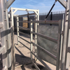 Cattle Sorting Gate