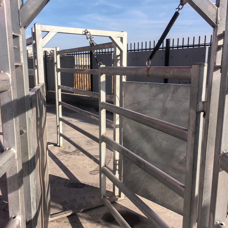 Cattle Sorting Gate