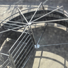 Cattle swing gate