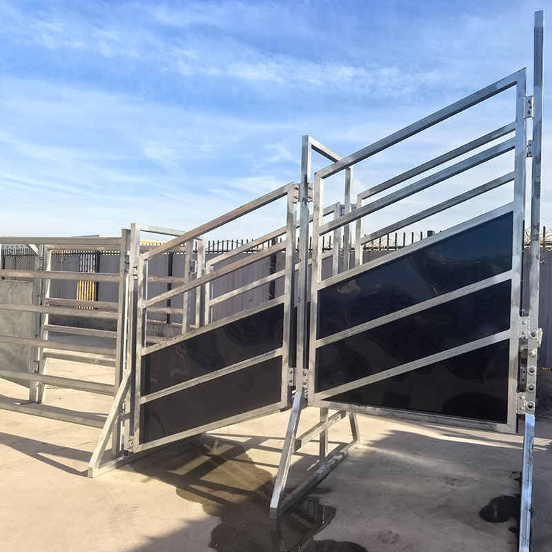 Cattle Loading Chute