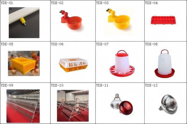 Automatic Chicken Drinking Cup Poultry Waterer for Chickens Ducks Quails with Clean Water Supply System