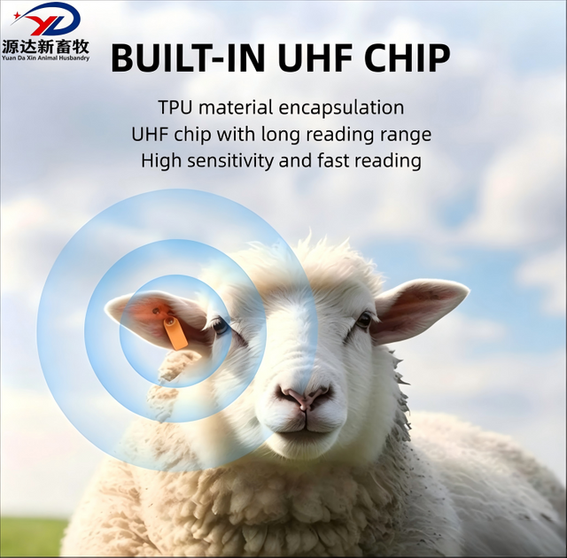 Premium Animal Ear Tags for Cattle, Sheep and Livestock Identification