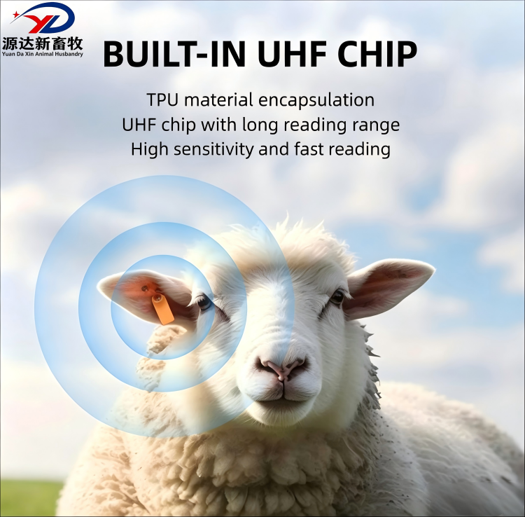 Premium Animal Ear Tags for Cattle, Sheep and Livestock Identification
