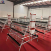 Automatic Chicken Cage System for Poultry Farming, Galvanized Layer Hen Cage Equipment with Feeding and Drinking System