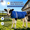 Heavy Duty Calf Vest for Newborn Calves