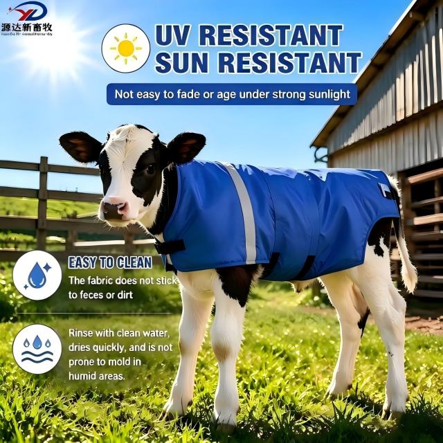 Heavy Duty Calf Vest for Newborn Calves