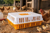 Chicken Transport Crates