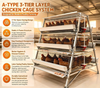 Automatic Chicken Cage System for Poultry Farming, Galvanized Layer Hen Cage Equipment with Feeding and Drinking System