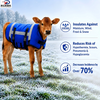 Heavy Duty Calf Vest for Newborn Calves
