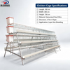 Automatic Chicken Cage System for Poultry Farming, Galvanized Layer Hen Cage Equipment with Feeding and Drinking System