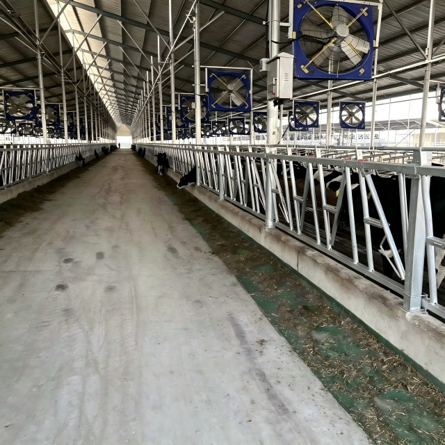 Heavy Duty Cattle Neck Clamp