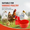 Automatic Chicken Drinking Cup Poultry Waterer for Chickens Ducks Quails with Clean Water Supply System