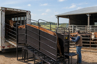 Cattle Loading Ramp