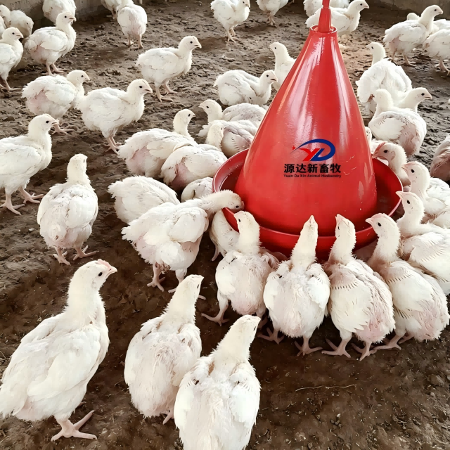 Plasson Automatic Livestock Drinker