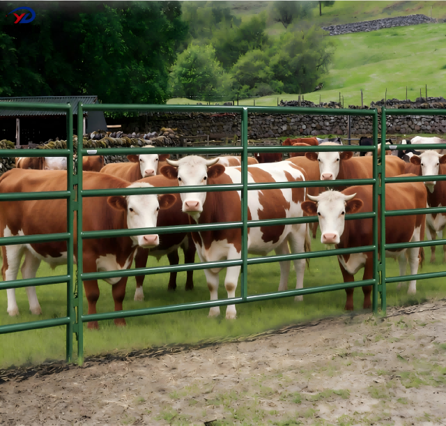 Heavy Duty Cattle Fence Galvanized Livestock Fence Panels for Dairy Farm and Ranch Equipment
