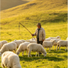 William-New Zealand