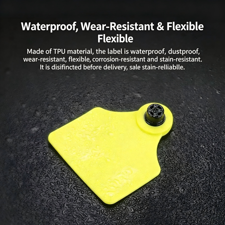 Premium Animal Ear Tags for Cattle, Sheep and Livestock Identification