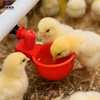 Automatic Chicken Drinking Cup Poultry Waterer for Chickens Ducks Quails with Clean Water Supply System