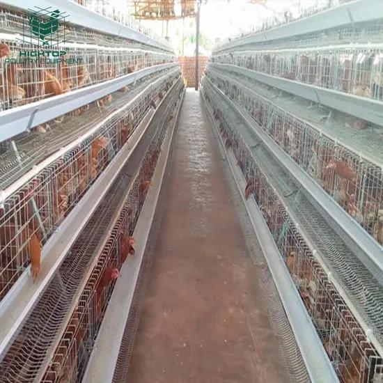 Automatic Chicken Cage System for Poultry Farming, Galvanized Layer Hen Cage Equipment with Feeding and Drinking System